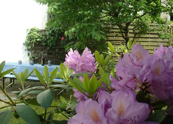 Alster Garden